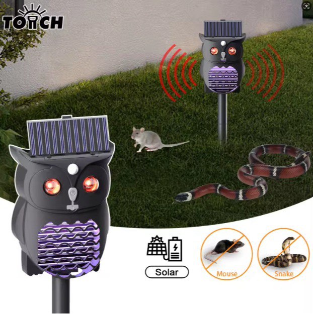 Récoltes et produits frais locaux
